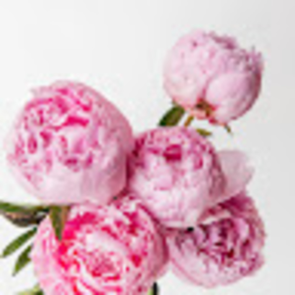 Meet your Posher, Savannah